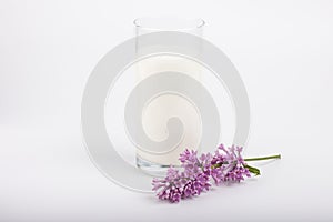 Glass of milk and lilac on a white background