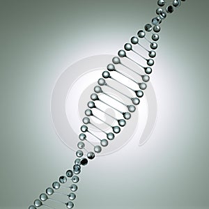 Glass model of the dna molecule