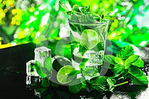 Glass of mojito with lime and mint close-up ice cube on a dark background