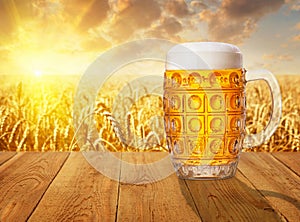 Glass mug of beer against wheat field