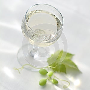 A glass of Muscadet