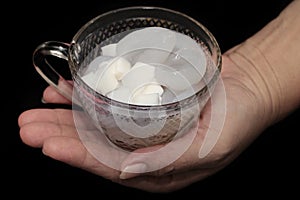 Nipa palm fruit and macapuno coconut ,gelatinous coconut, in syrup photo