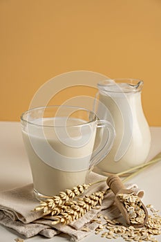 A glass of oat milk and oat flakes. The concept of alternative lactose-free dairy products.