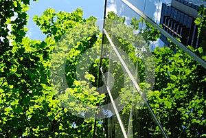 Glass office building with green reflections