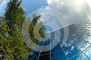 Glass office building windows clouds sky tree reflection finance corporate business tower perspective