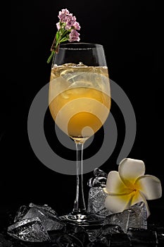 Glass of orange cocktail decorated with a flower with ices and frangipani on black background