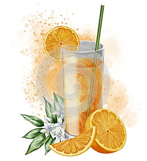 Glass of Orange Fruit Juice. Watercolor hand drawn illustration of fresh citrus beverage with splashes and flowers on