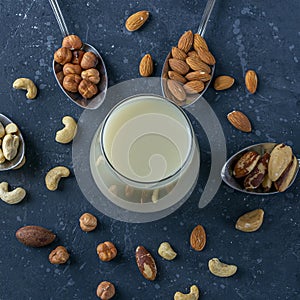 Glass of organic vegan dairy free milk from nuts. Healthy vegetarian alternative drink. Various types of nuts: cashew, hazelnuts,