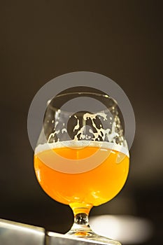 Glass of pale ale in a brewery