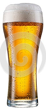 Glass of pale lager beer with water drops on cold glass surface isolated on white background. File contains clipping path