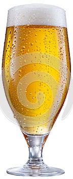 Glass of pale lager beer with water drops on cold glass surface isolated on white background. File contains clipping path