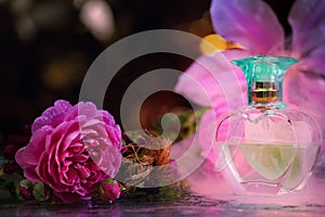 Glass perfume bottle smoke studio water drops flowers