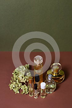 glass perfume bottles with sprigs of hydrangea on a beautiful background