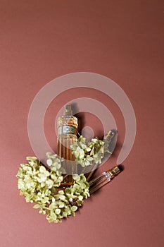 glass perfume bottles with sprigs of hydrangea on a beautiful background