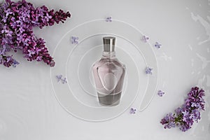 Glass, perfume, cosmetic bottle on white background with water and lilac. Top view, closeup.