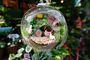 Glass plant terrarium