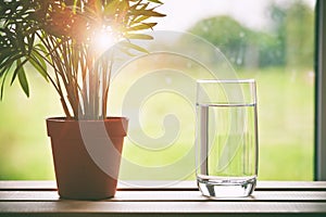 Glass of pure natural water and green flower in pot on natural m