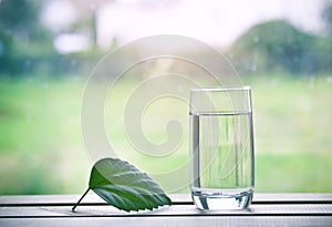 Glass of pure natural water and green leaf