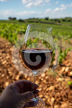 Glass of red dry wine and large pebbles galets and sandstone clay soils on vineyards in ChÃ¢teauneuf-du-Pape ancient wine making
