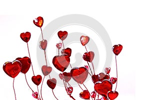 Glass Red Hearts on white background