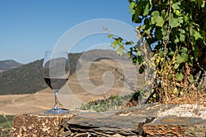 Glass of red wine above the valley of the River Douro in Portugal