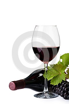 Glass of red wine bottle and fresh grapes on a white background