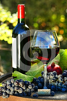 Glass of red wine with bottle and grapes