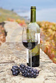 Glass of red wine and a bottle on the terrace of vineyard in Lav