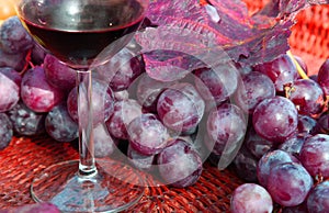 Glass of red wine with bunches of ripe grapes