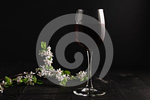 Glass of red wine and flowering apricot branch on a dark background. Alcoholic drink with fruity notes