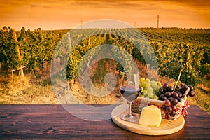 Glass of red wine in front of a vineyard at sunset