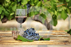 Glass of red wine with grape cluster on an old wooden table