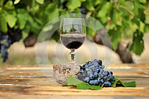 Glass of red wine with grape cluster on an old wooden table