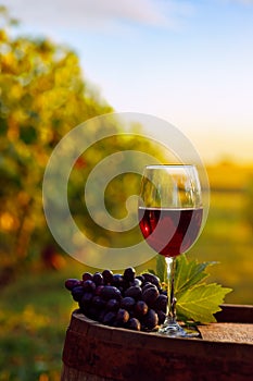 glass of red wine and grape on old wooden barrel