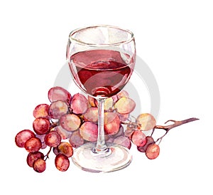 Glass with red wine, grape. Watercolor painting
