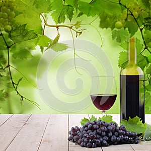 Glass of red wine, grape and wine bottle on white wooden background with green grapevine