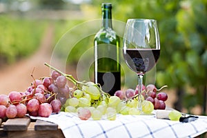 Glass of red wine and ripe grapes on table
