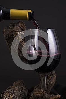 Glass of Red Wine with Vine in a Black Background