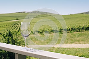 Glass with red wine on vineyard background