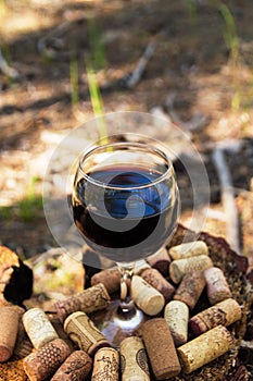 A glass with a red wine and wine corks on a stump in a summer forest