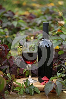 glass of red wine on wooden background with autumn leaves