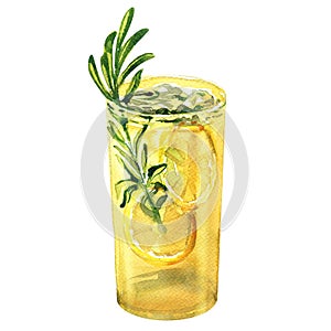 Glass of refreshing cocktail, fresh lemon drink with lemon, rosemary, gin tonic, lemonade, beverage, isolated, hand