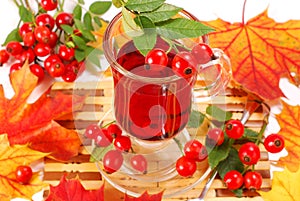 Glass of rose hip tea