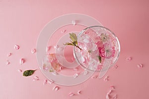 Glass with rose petals and an ice cube with a flower next to it on pink background. Flat lay