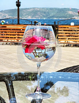 Glass with rose in water - closeup