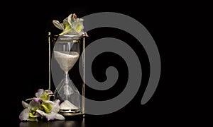 Glass Sand Timer

Clock on black background with orchids