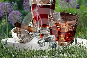 A glass of Scotch whiskey with ice and a cigar on a background of nature close-up