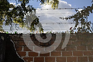 Glass Shards on a Wall and Barbwire, Lusaka, Zambia