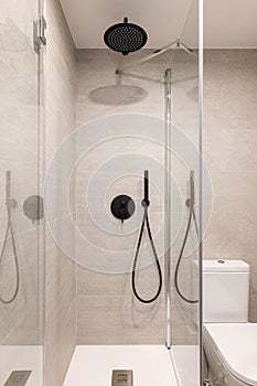 Glass shower unit with and toilet bowl in stylish bathroom