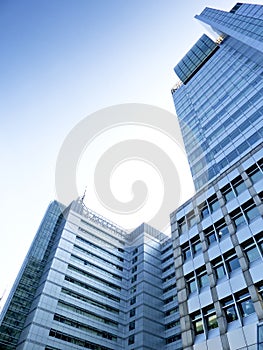 Glass skyscraper buildings